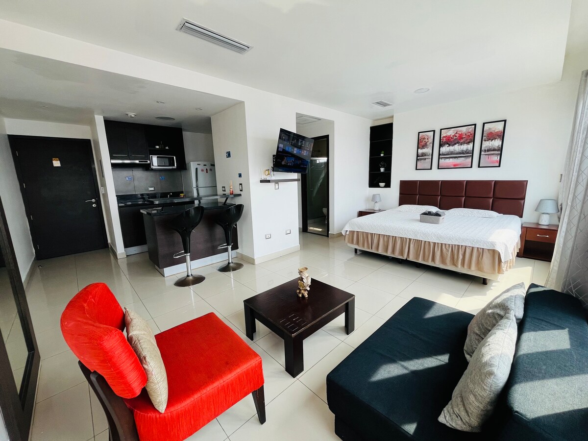 Hermosa suite - vista a la ciudad - Gym